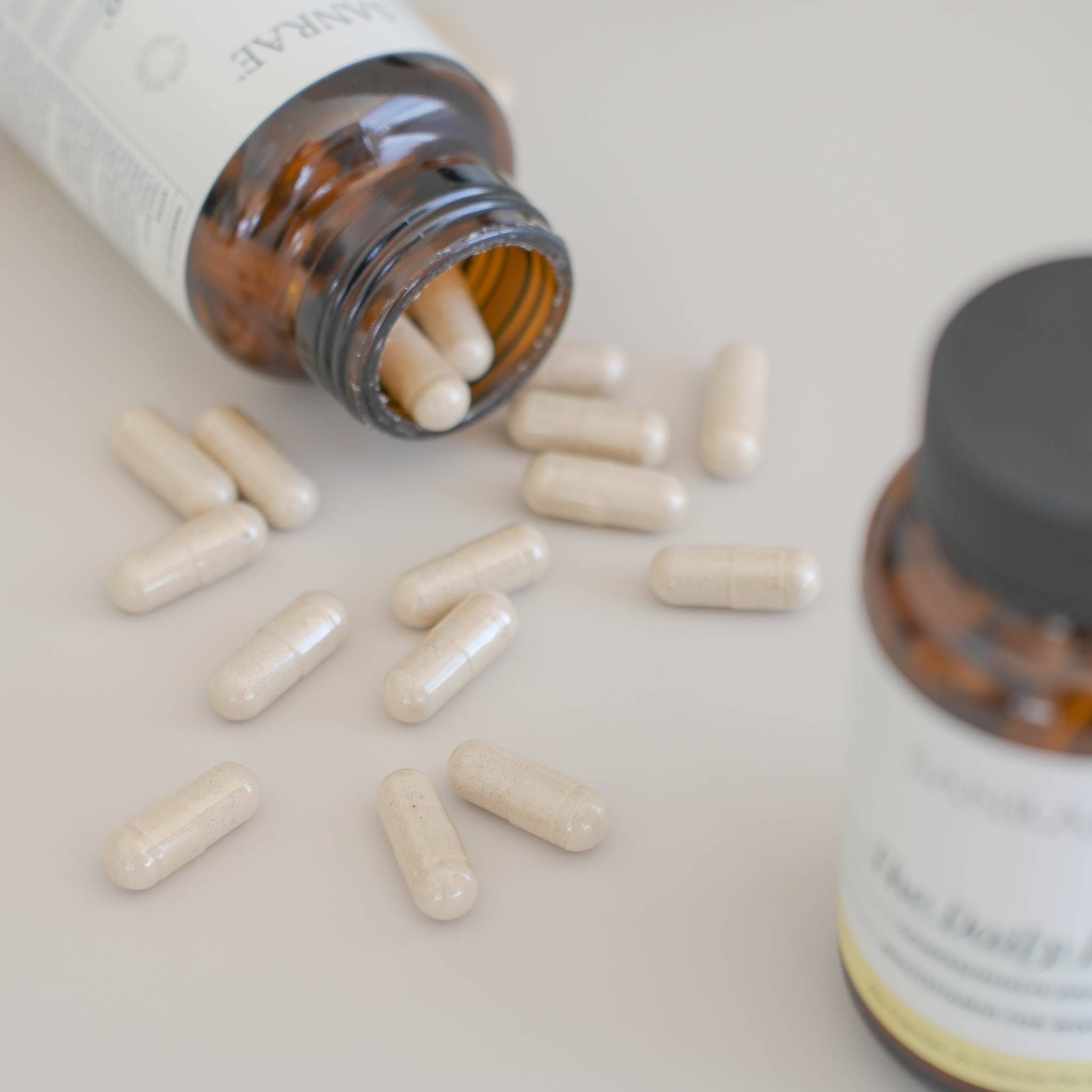 SANRAE The Daily Rae™ - Comprehensive Daily Multivitamin for Women (60 Capsules - 30 Servings)