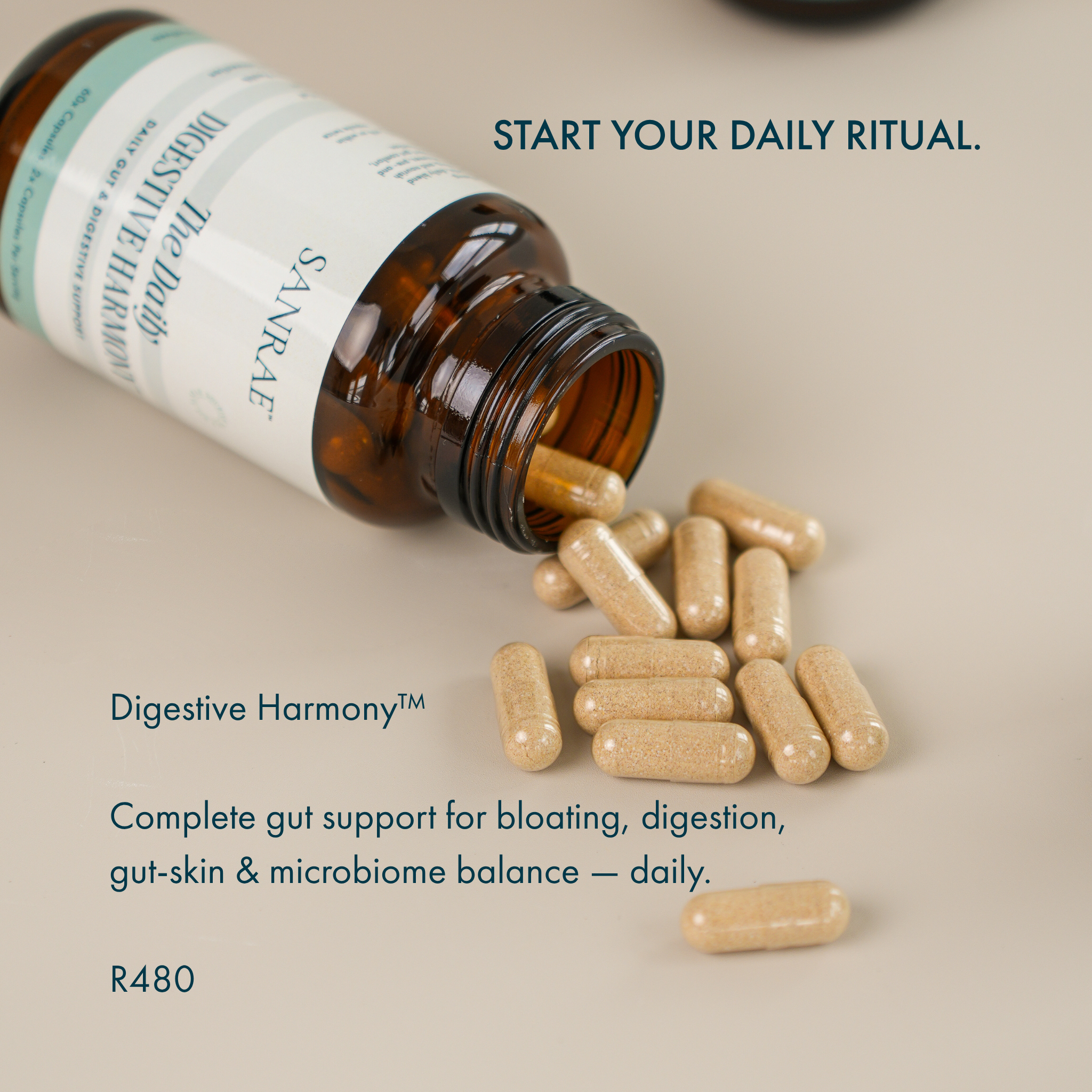 SANRAE The Daily Digestive Harmony™