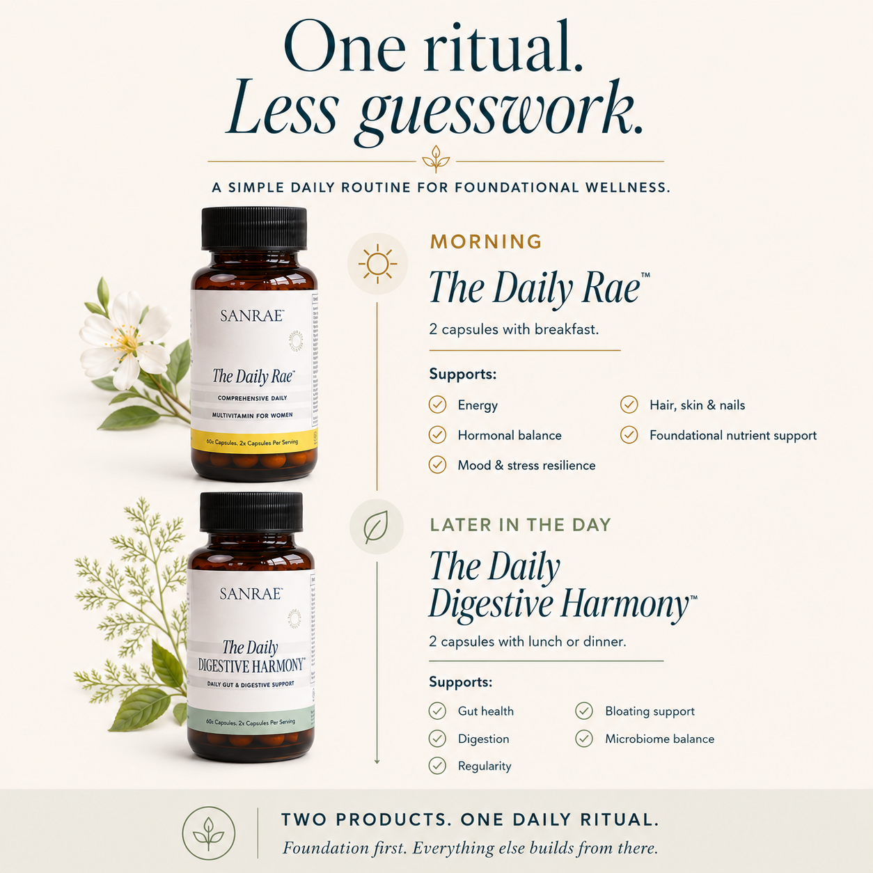 The Daily Foundations